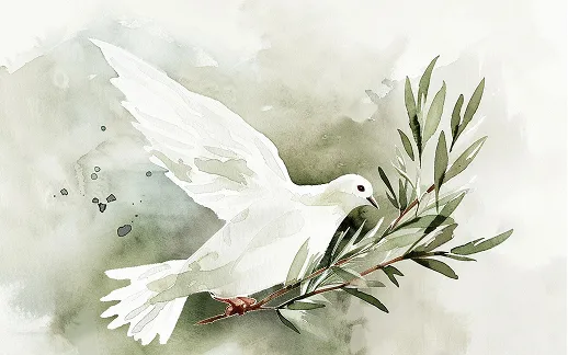 Open Bible with sunlight on the pages